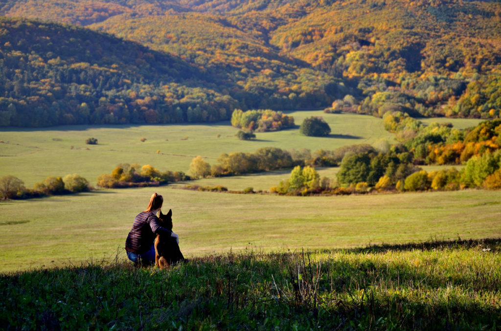 Woman and her dog sitting close together looking out over rolling hills