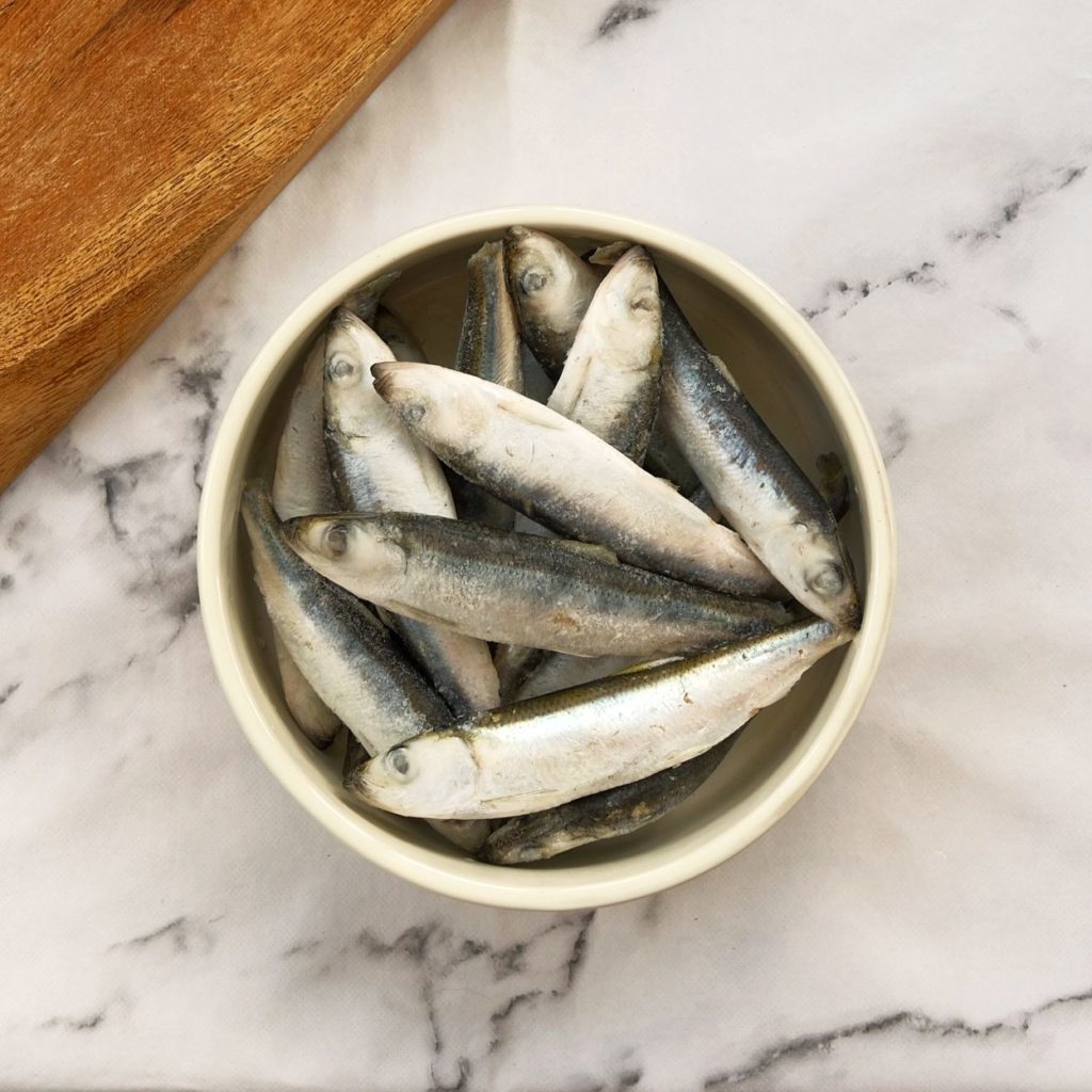 Sprats in a dog bowl