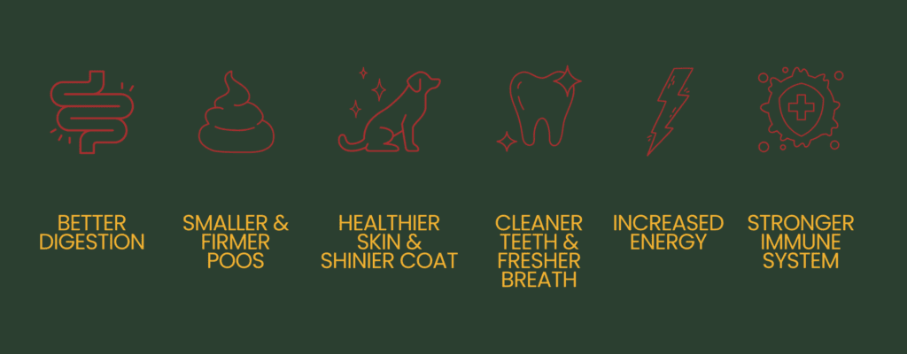 Icons showcasing the benefits of feeding a raw diet to your dog